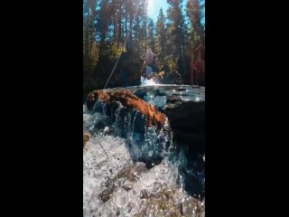 video calming water that curve s like liquid glass beautiful thing is the texture and colors in this fresh spring envi sex