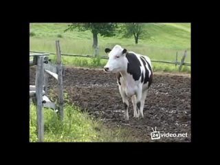 video champus milena 0045 mp4 sex