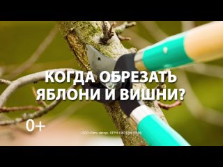 video 24 марта лунный календарь для цветов и деревьев sex
