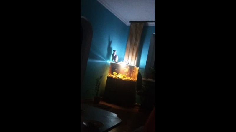 video video vid 20210502 001213 mp4 sex