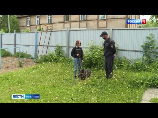 video кинологи помогут исполнить мечту школьницы из лежнева sex
