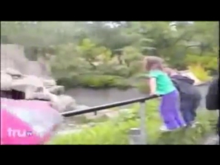 video медведь убивает человека реальная съемка sex