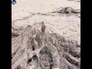 video у нас странные соседи русское они все ненавидят но при этом живут на русской земле и пользуются благами данными sex