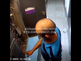 video мужчина что то ищет в электрическом щитке на отрадной 11 sex