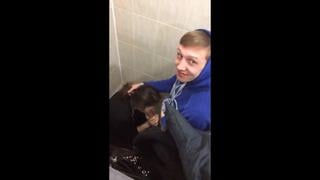 video студентка в туалете делает минет анал сосет минет солевая sex