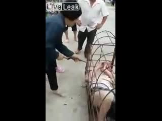 video за измену жена заперла мужа в клетке и прилюдно наказала китай sex