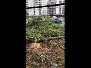 video sex vid 20210703 091600 mp4 sex