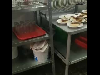 video учительница школы 108 в красноярске обвинила поваров школы в том что они пытаются накормить ее класс отходами sex