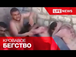 video эксклюзив боевики игил покидая занятые деревни казнят местное население sex
