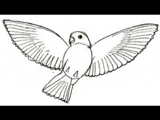video фонд birdwhite кормление бездомного кота помощь молодые sex