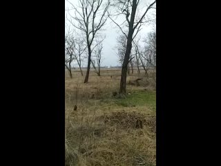 video только что разъбали аэропорт военный в російському таганрозі здійснено атаку на аеродром армії рф знищено літ sex
