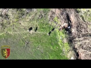 video як росіяни своїх не кидають 24 омбр імені короля данила sex