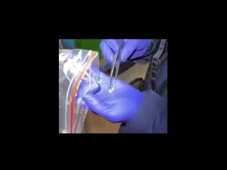 video видео от невероятные и страшные истории sex
