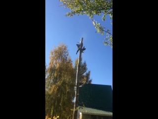 video спиливание удаление деревьев кустарника расчистка участков покос травы и вывоз любой сложности 8 920 211 76 22 sex