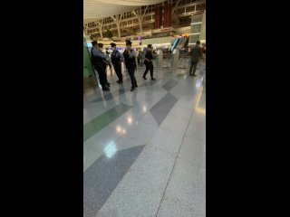 video белорусскую спортсменку кристину тимановскую пытаются молодые вывезти из токио в минск sex