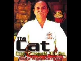 video ikga karate goju ryu gogen yamaguchi 10 dan old video старые записи sex