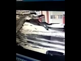 video большая немецкая овчарка разорвала маленькую собачку sex