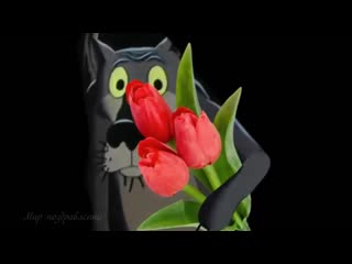 video с 8 марта прикольное поздравление от волка с днем 8 марта sex