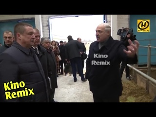 video еле живая скотина или как лукашенко дрючит чиновников ржач до слез бать те нормально 3 0 смешные приколы 2019 sex