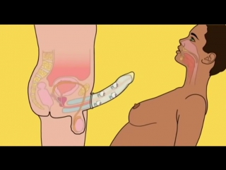 video образовательное видео как правильно чпокаться sex