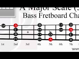 video udemy learn bass guitar have fun amaze your friends its eas sex