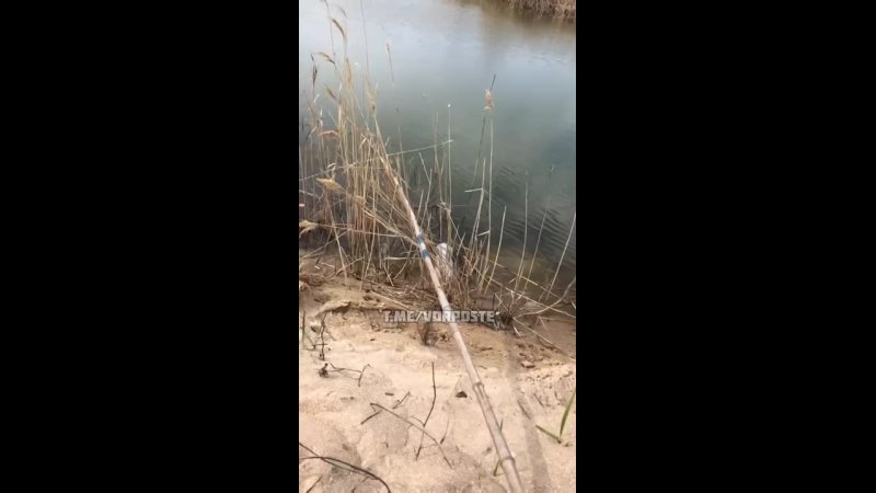 video 轮着口交上位抽插性感屁股插完一个再换另一个 vid 20220524 095843 579 mp4 sex