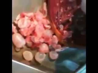 video чрезвычайно редкий случай инфекции echinococcus granulosus sex