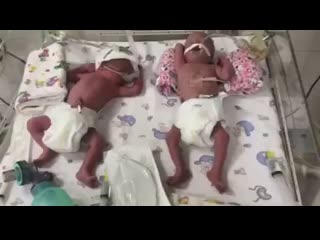 video видео от мероприятия города запорожье афиша и новости sex