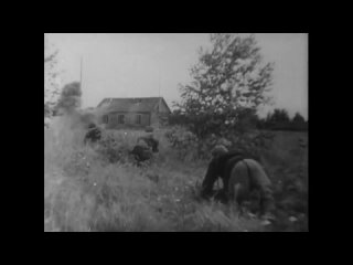 video партизаны в годы великой отечественной войны архивная кинохроника sex