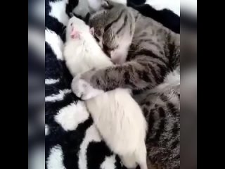 video а ну лежи смирно и никуда ты от меня не денешься sex