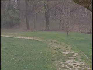 video честная и непорочная chaste and pure 2008 360p sex