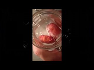 video трилогия жизнь под дождём 1 полноценная жизнь 2 кастрация 3 усечение машонки sex