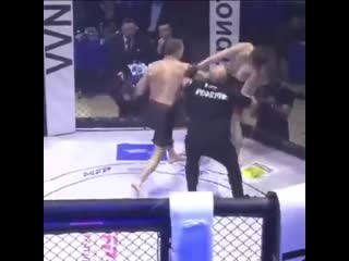 video во время соревнований по мма во владивостоке одного из бойцов вырубили но он остался стоять на ногах sex