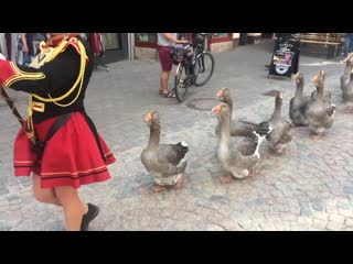 video миниатюра собянин выводит москвичей раз в неделю на прогулку во время принудительной самоизоляциисогласно штатному sex