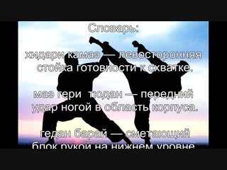 video 15 видеоурок уке но гогенри uke no go genri пять принципов защиты sex