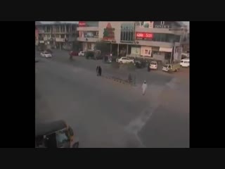 video и там как у нас бродячая скотина свободно разгуливает по улицам в поисках приключений sex