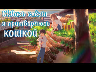 video фильм сквозь слёзы я притворяюсь кошкой a whisker away amazing dubbing sex