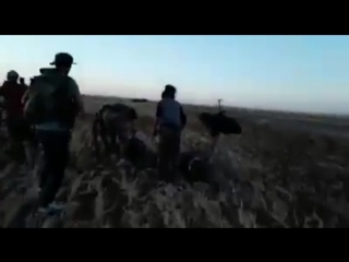 video сирия 01 07 2018 бойцы саа попали в засаду боевиковзапад провинции дараа sex