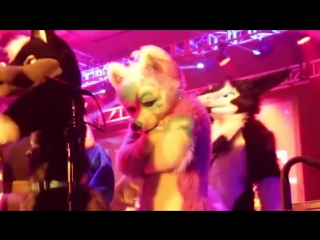 video grumpy fursuiting at a porn convention sex