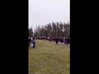 video онкоцентр поселок песочный ленобласть sex