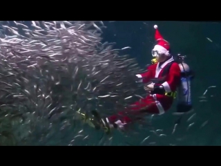 video особое мнение подводный санта клаус в аквариуме сеула sex