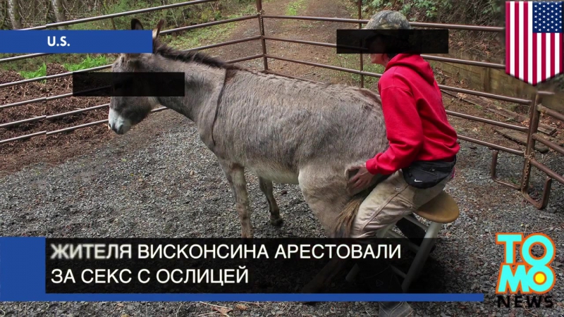 video особое мнение жителя висконсина арестовали за секс с ослицей sex