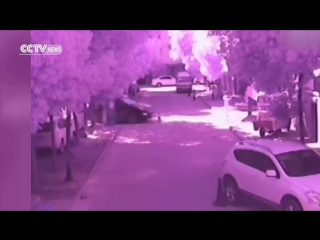 video особое мнение тп отвлеклась с телефоном 18 летнего малыша раздавила машина китай sex