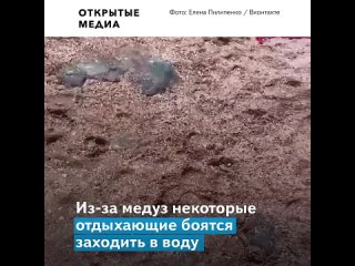 video медузы заполонили побережье азовского моря и вытеснили отдыхающих sex