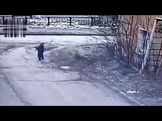 video 18 депутат переехал маленького мальчика немного постоял возле него и скрылся sex