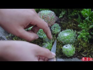video wine table of winding canalan exciting by product of watching tv这是一个看电视看出来的曲水流觞桌 sex