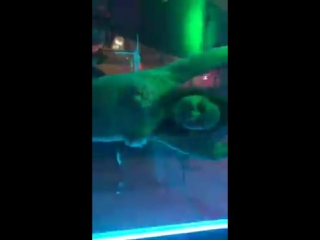 video голенькая в клубе новенькая домашнее порно секс молодые porn 18 teen пикап sex