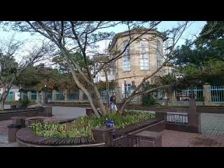 video narrov vid 20210608 063709 mp4 sex