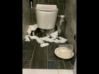 video забыла закрыть дверь в туалет и мои котька не растерялся sex