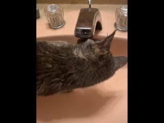 video мои любитель поиграть с водичкои sex